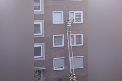 Dramatische Tierrettung in Voerde: Katze klemmt in Fensterspalt fest
