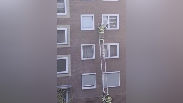 Dramatische Tierrettung in Voerde: Katze klemmt in Fensterspalt fest