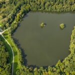 Gute Nachrichten vom Dinslakener Rotbachsee: So haben sich die Werte entwickelt