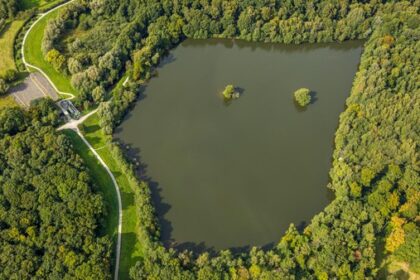 Gute Nachrichten vom Dinslakener Rotbachsee: So haben sich die Werte entwickelt
