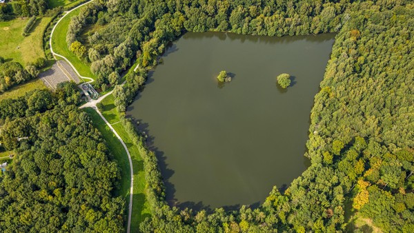 Gute Nachrichten vom Dinslakener Rotbachsee: So haben sich die Werte entwickelt