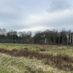 Regionalplan unwirksam: Stehen Wohnbauprojekte in Dinslaken auf der Kippe?