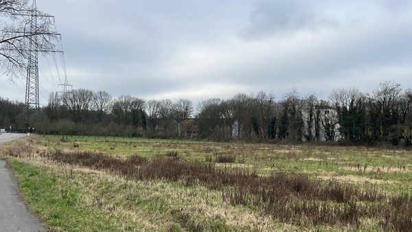 Regionalplan unwirksam: Stehen Wohnbauprojekte in Dinslaken auf der Kippe?