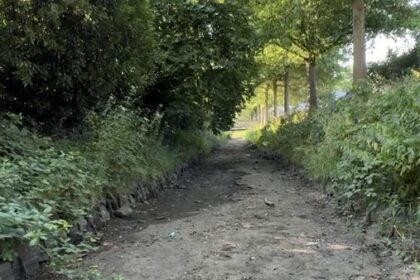 Stadt Dinslaken befreit Rotbach von Müll: Darum werden Bürger gebeten