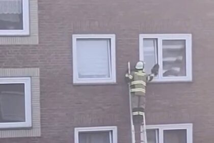 Vorfall in Voerde: Feuerwehr rettet eingeklemmte Katze aus gekipptem Fenster