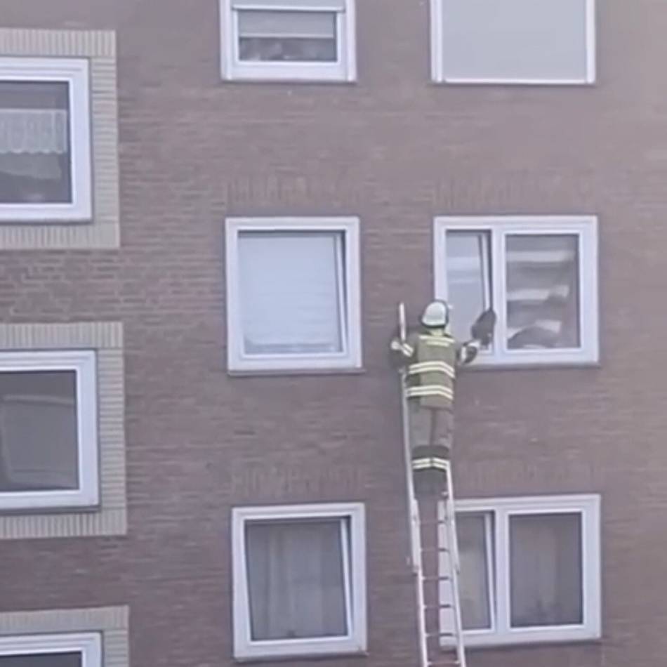Vorfall in Voerde: Feuerwehr rettet eingeklemmte Katze aus gekipptem Fenster