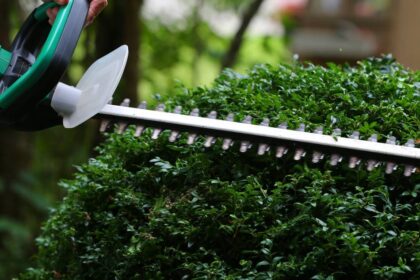 Wettbewerb gestartet: Kreis Wesel sucht die schönste Hecke – das ist das Preisgeld