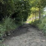 Auswertung von Regen im Emscher-Lippe-Raum: Trockenster Juli in 95 Jahren