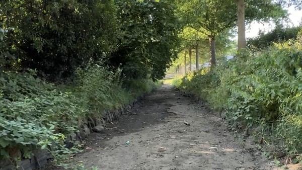 Auswertung von Regen im Emscher-Lippe-Raum: Trockenster Juli in 95 Jahren