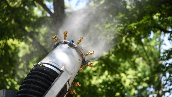 Bekämpfung eingestellt: Warum es weniger giftige Raupen im Kreis Wesel gibt