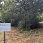 Blaualgengefahr im Dinslakener Rotbachsee: Lippeverband erklärt aktuelle Lage