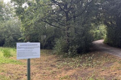 Blaualgengefahr im Dinslakener Rotbachsee: Lippeverband erklärt aktuelle Lage