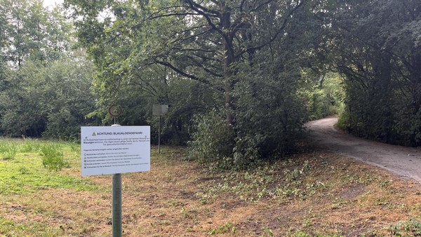 Blaualgengefahr im Dinslakener Rotbachsee: Lippeverband erklärt aktuelle Lage