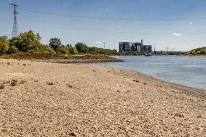 Ein Hauch Urlaubsfeeling: Niedrigwasser am Rhein liefert erstaunlichen Anblick