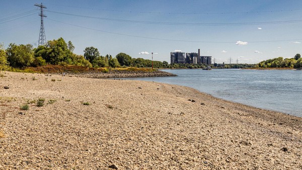 Ein Hauch Urlaubsfeeling: Niedrigwasser am Rhein liefert erstaunlichen Anblick