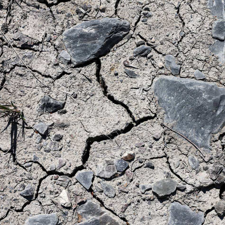 Emscher-Lippe-Region im Juli: „So wenig Regen wie noch nie seit Aufzeichnungsbeginn“