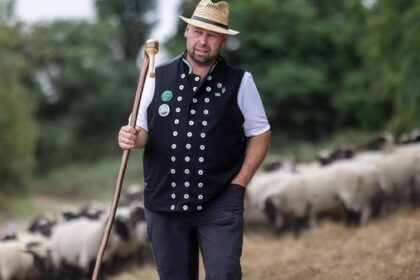 Hirtenzug hält in Dinslaken: Darum sind Schafe am Emscherdeich so wichtig