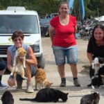 Martina Droste (68) kümmert sich um Katzen in Not: „Bin da reingerutscht“