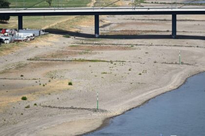 Probleme mit Niedrigwasser: Niederrheinische IHK fordert 2,5 Milliarden, um den Rhein krisenfest zu machen