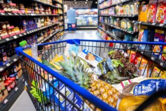 Wie lang brauche ich zu Arzt, Apotheke, Supermarkt und Co.? Die Lage rund um Wesel